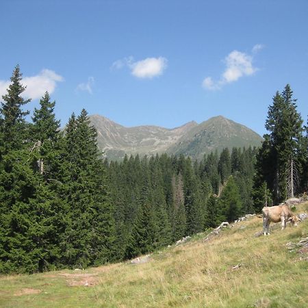 Fewo Windbichl Parcines Extérieur photo